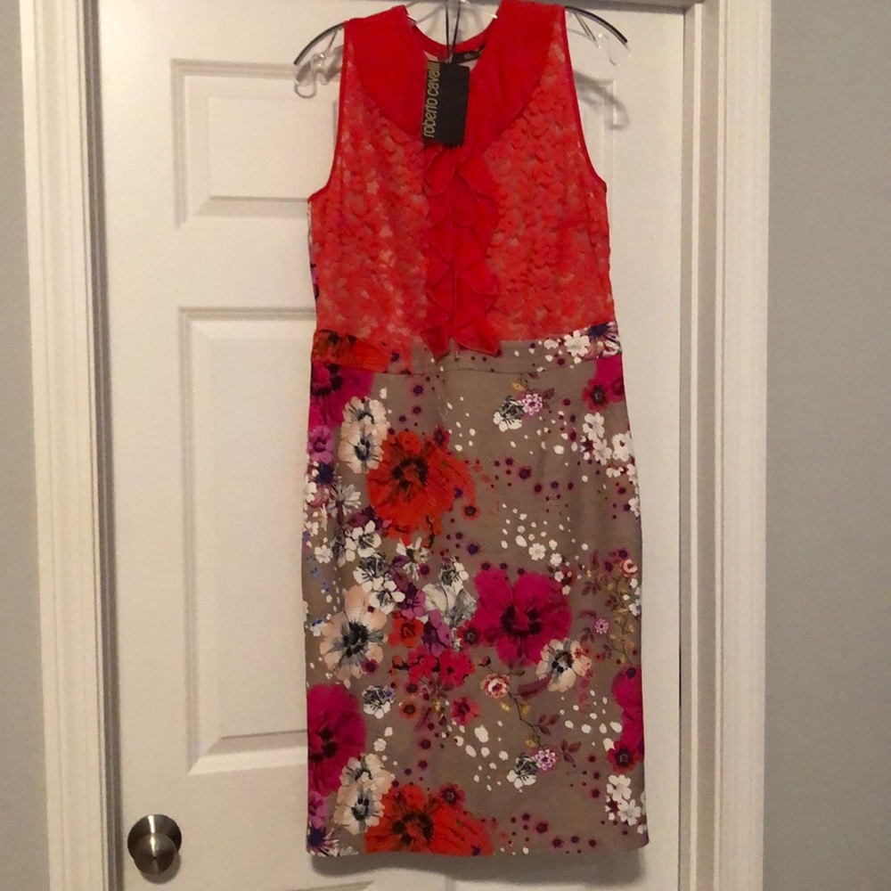 Gorgeous Roberto Cavalli dress!